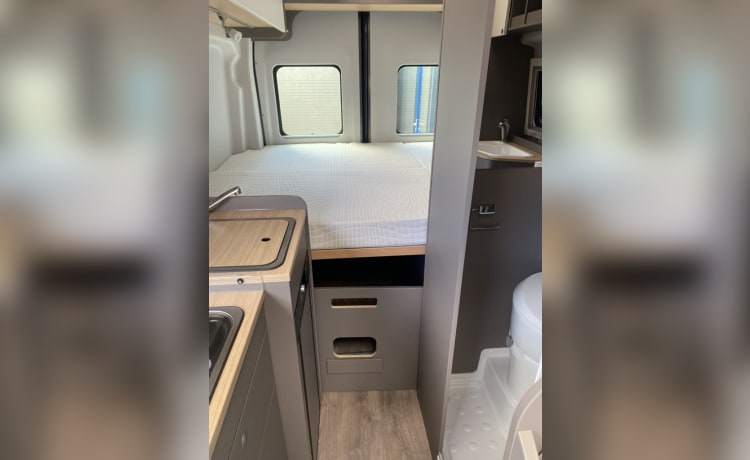 Nieuwe Camperbus Antraciet – 2024 FORD camper van