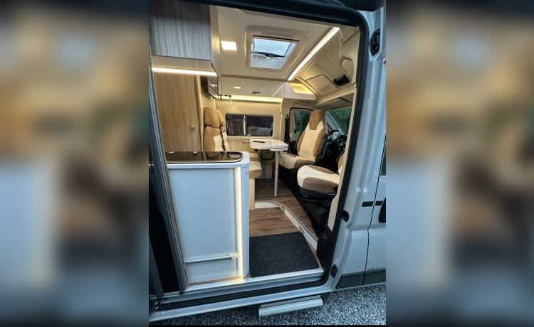 ✅✅Luxus-Campervan von McLouis ✅✅ besonders erschwinglich ✅✅