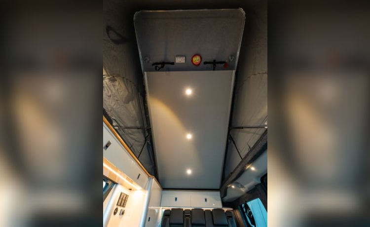 2024 Landseer Ford Custom Campervan (4 Schlafplätze)