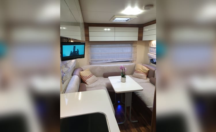 Rolly – 6 berth Roller Team alcove from 2015