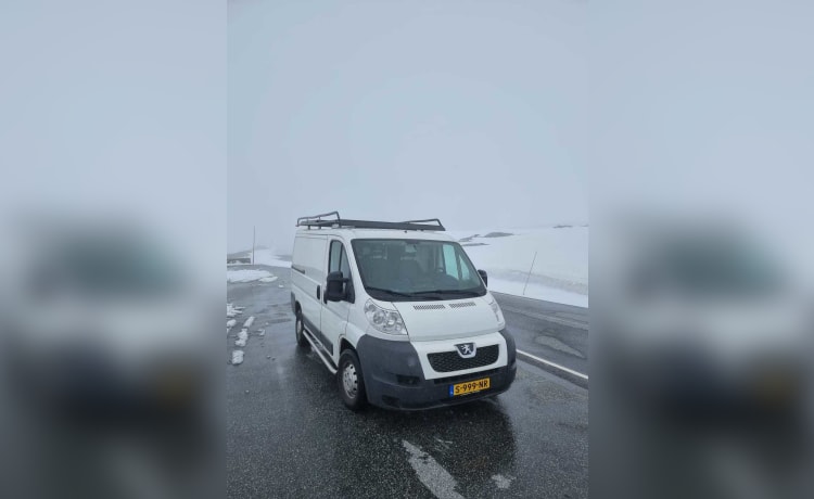 Lux – 2p Peugeot bus uit 2012