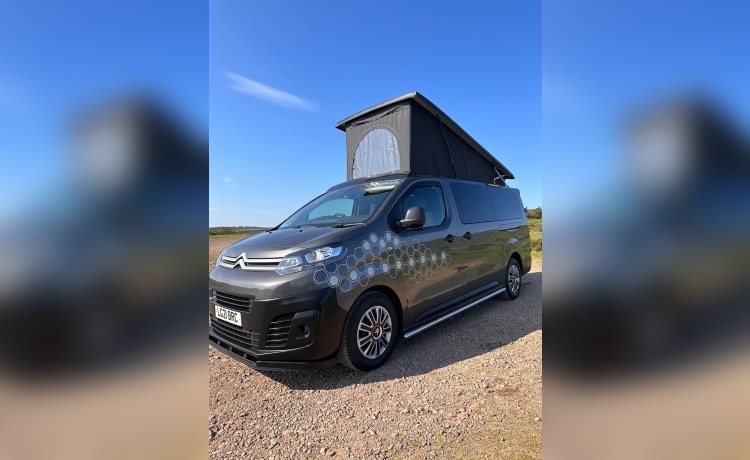 Honey  – 4 berth Citroën campervan from 2021