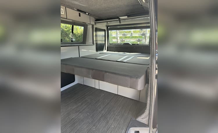 Anakin – Camper Volkswagen a 4 posti letto - Dog Friendly 