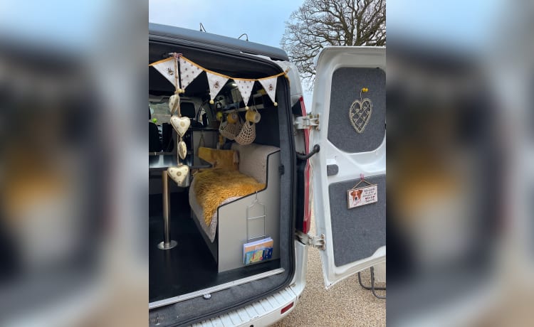 Frank – 4 berth Ford campervan from 2014