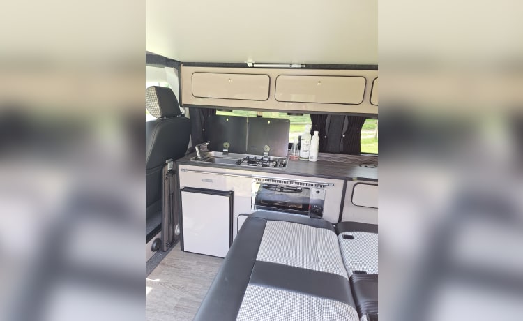 Boris – VW transporter 6.1 