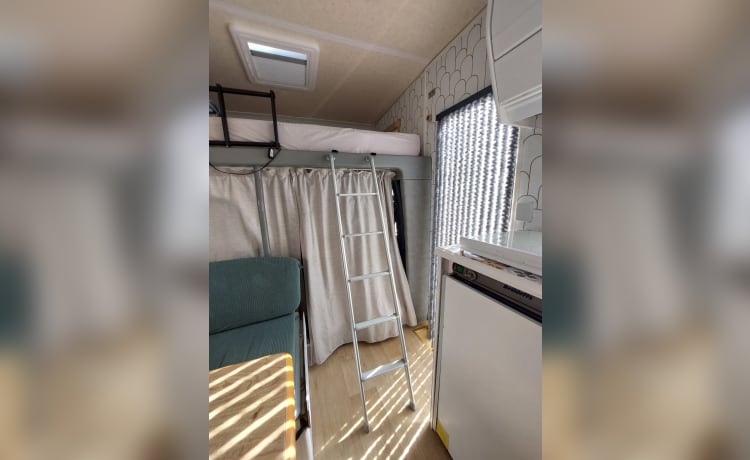 Billy – Dethleffs (Fiat Ducato) Alcove from 1995