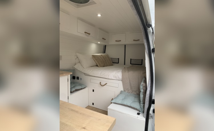 Brindley – Camping-car Ford Transit 2 couchettes