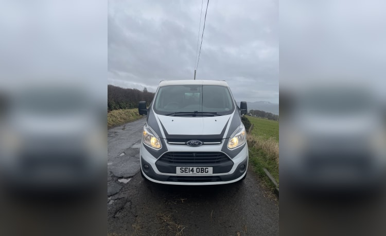 Tommy the Transit  – Ford Camper for Hire! Sleeps 4