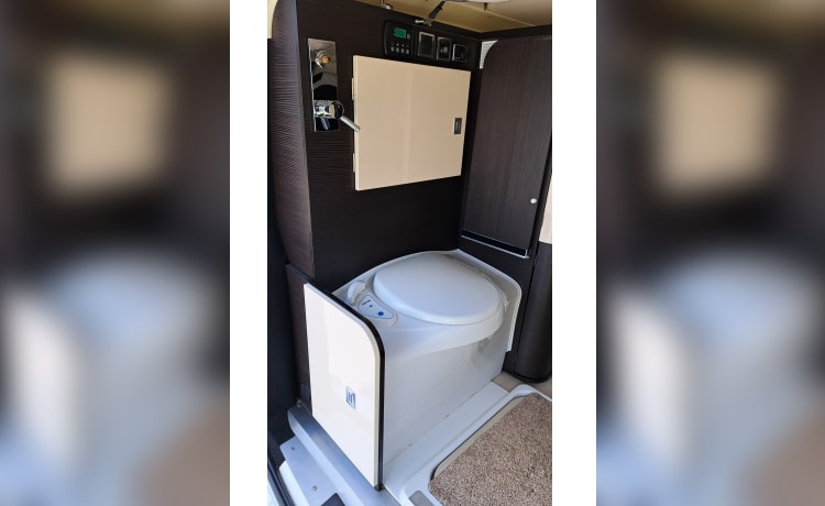 Glamping on wheels! – Camper 2p Westfalia del 2019