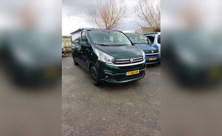 2p Fiat campervan uit 2017