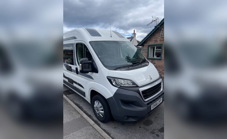 Tomo – 2 berth Peugeot campervan from 2017