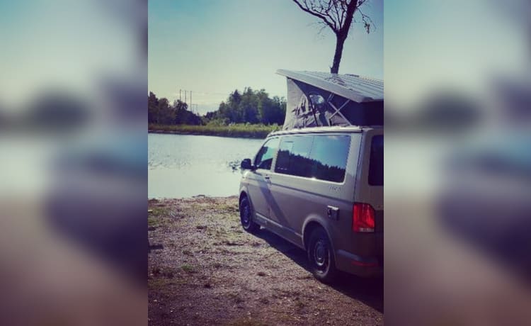 CALI Brown Grey – Volkswagen California COAST Brown/AscotGrey (2021)