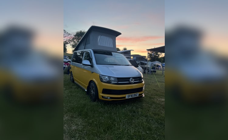 Bumble – 2 berth + 2 kids Volkswagen T6 campervan from 2016