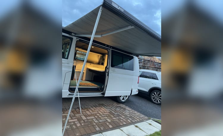 Sunny Scotland Campers  – Volkswagen transporter, sleeps 2 and pet friendly