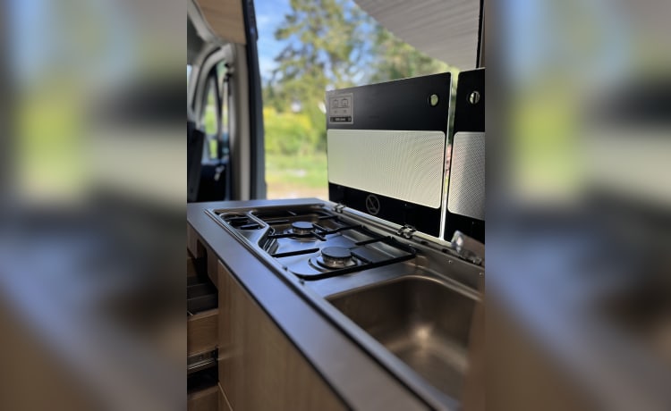 Clever Celebration  – New campervan 4 persons lifting roof