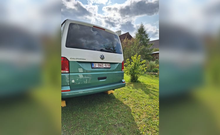 5p Volkswagen California BEACH 2022 mit Markise