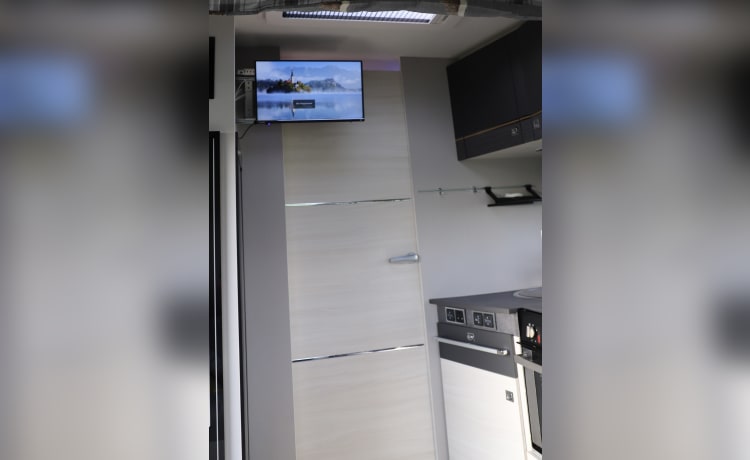 Morris the Motorhome – 5 berth Chausson semi-integrated from 2021