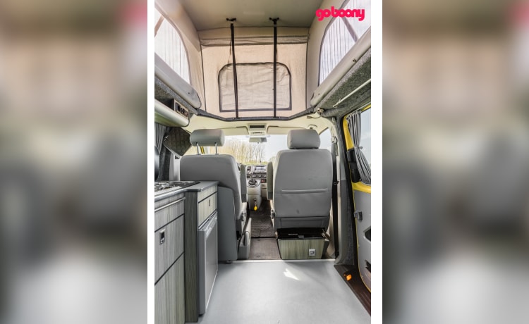 Sunny – 2p Volkswagen bus from 2015