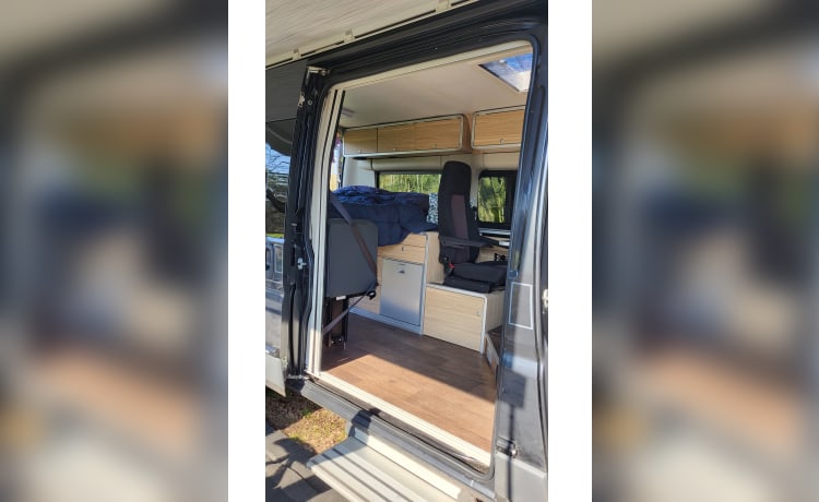 Buszz – Hymer RIo '14, 4-Sitzer/2 Schlafzimmer. Kompakt, überraschend geräumig