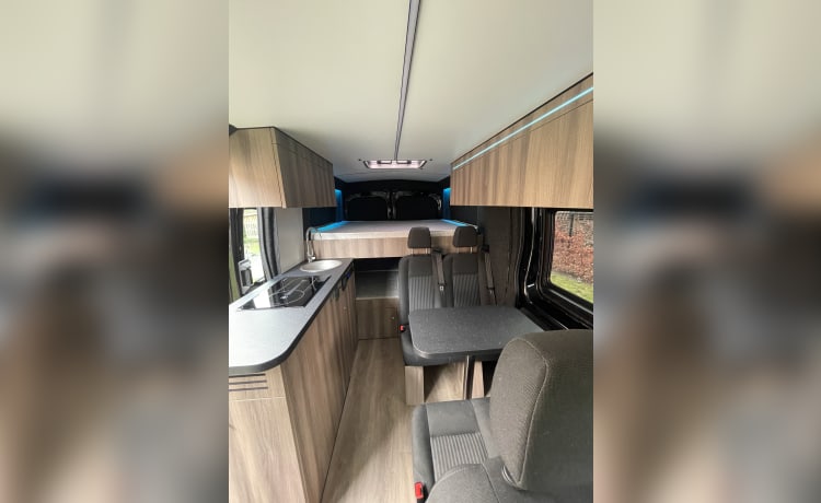  Allroad Campervan 4x4 6p Ford Transit