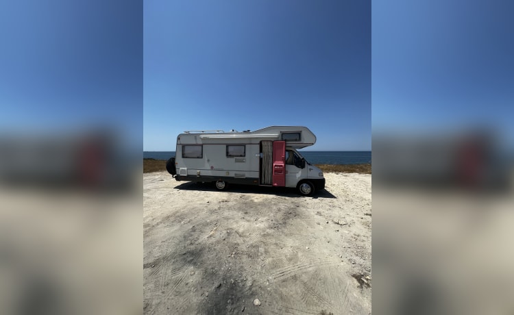 Cabane Fiat 5p de 1998