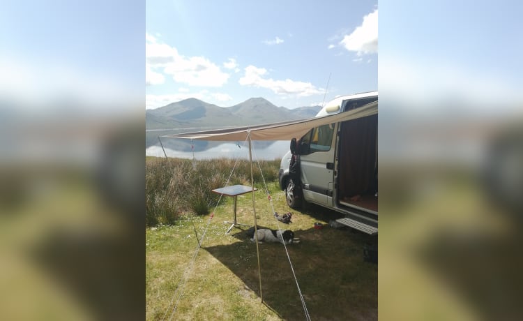 Highland Hamish – 2 berth Renault LWB High roof van 