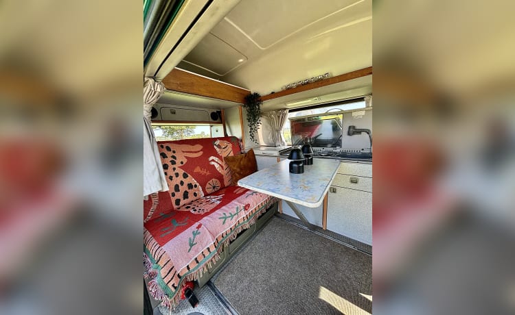 Gus the Bus – Compacte VW Westfalia