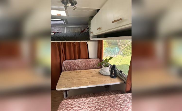 FREEDOM – Trendiger Fiat Camper für 3 Personen