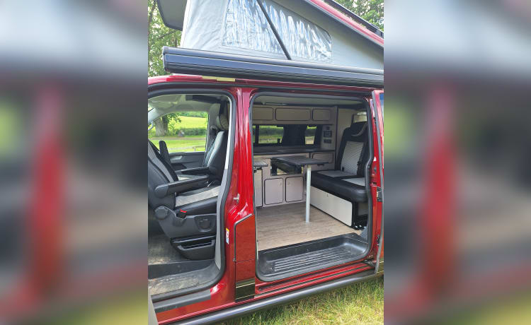 Boris – VW transporter 6.1 