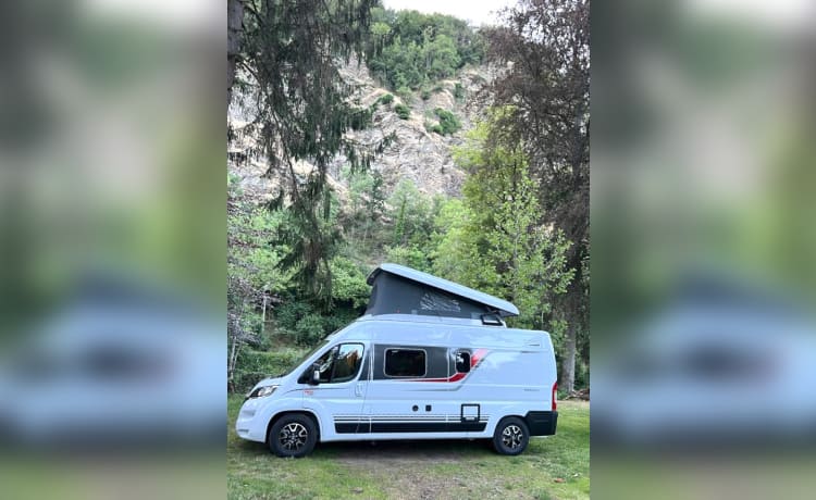 Nieuwe Campervan burstner campeo 4P