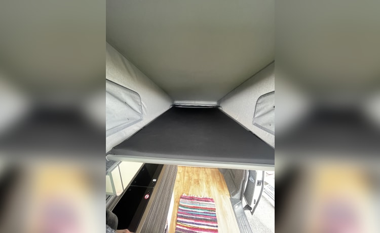 Daisy – 4 berth Volkswagen campervan from 2016