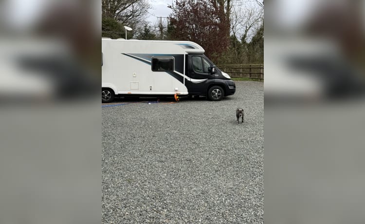 6-persoons Bailey approach autograph camper uit 2013