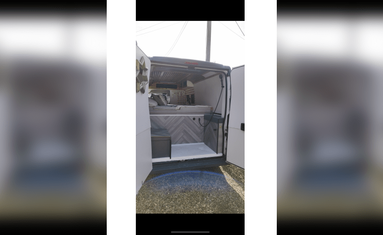 Fishbowl  – Fishbowl Campervans 3 couchettes