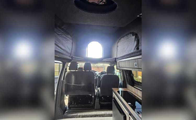 Alberto – Ford-camper met 4 slaapplaatsen uit 2013