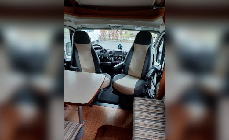 Cozy – Libero come un uccello che viaggia con un 4 pers. Camper Eriba Hymer del 2012