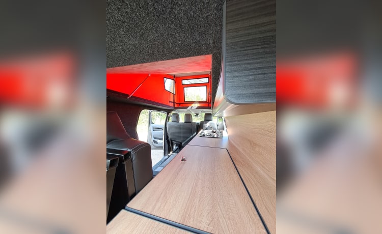 Bert – Camper Toyota Proace a 4 posti letto 2022