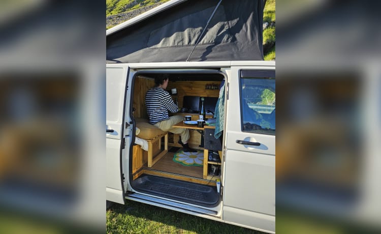 Volky – 3p Volkswagen campervan uit 2011