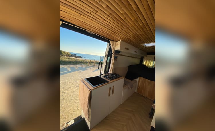 Hip spacious camper bus!