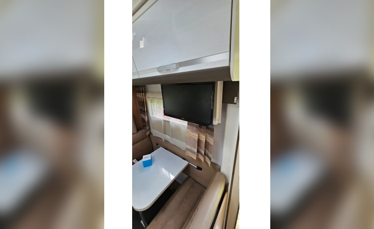 MESHELL – 7 berth Adria Mobil XL Plus 670 from 2019