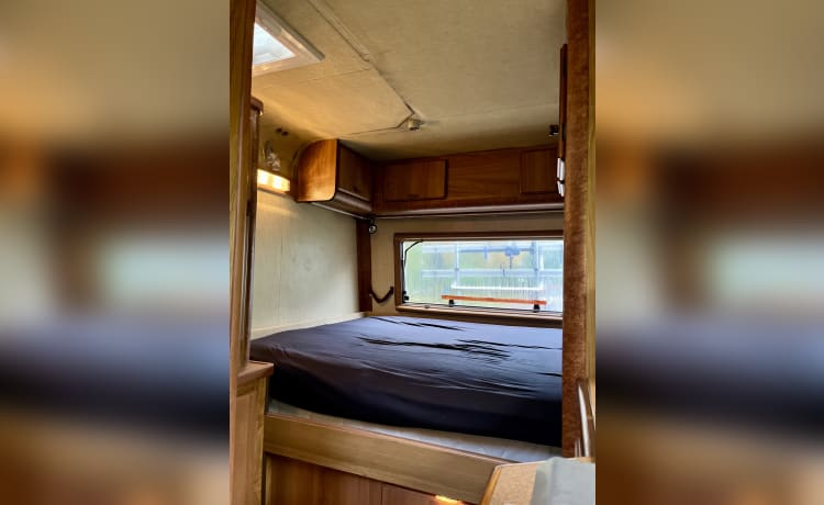 Bruine Beer – Hymer, Brown Bear from 1985 in top condition