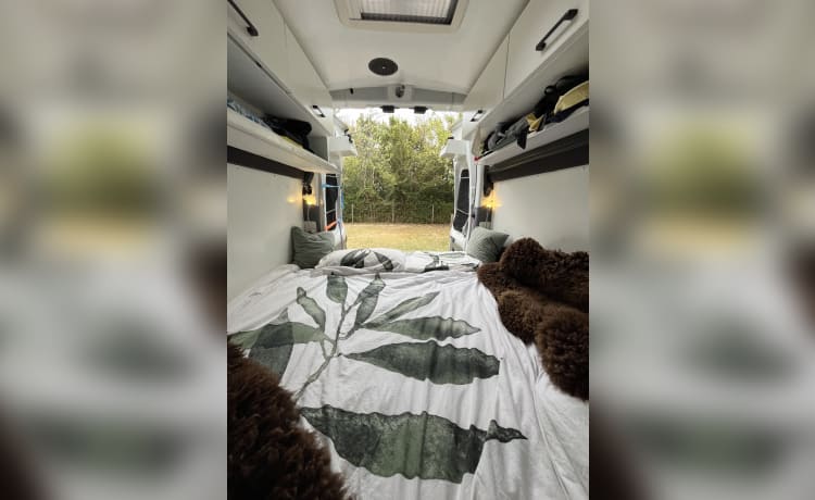 Your comfortable holiday home on wheels! 