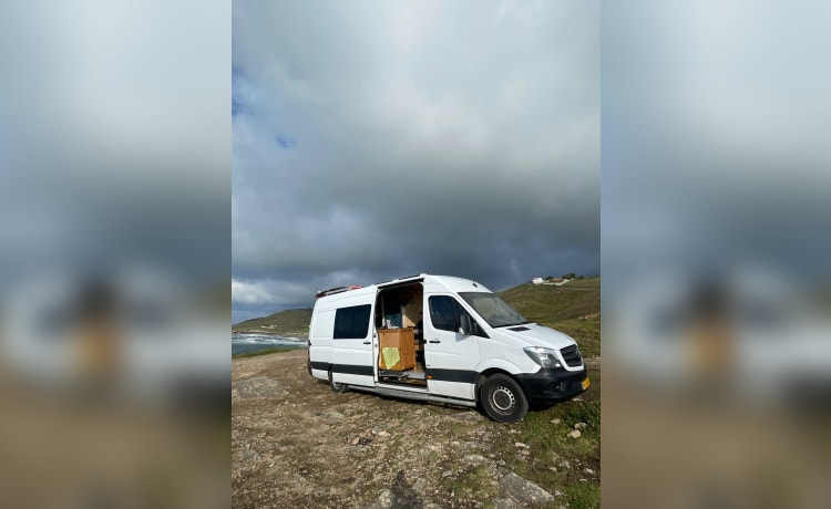 2p Mercedes-Benz bus uit 2014