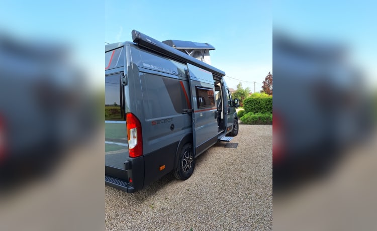 POP-UP – LIVINGSTONE DUO XL SPORT 