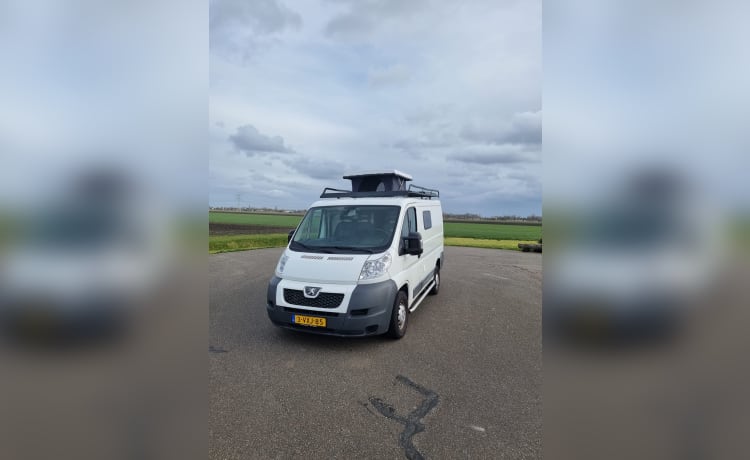 Lux – 2p Peugeot bus uit 2012