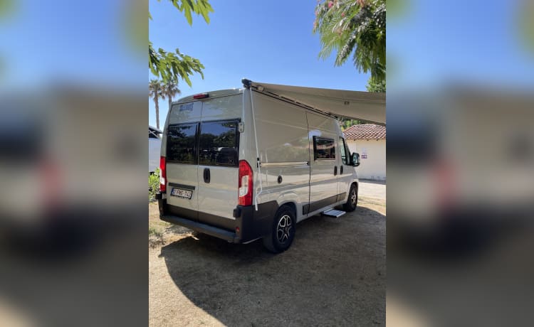 Camping-car 2 personnes (2024) McLouis Menfys Discovery Van 1