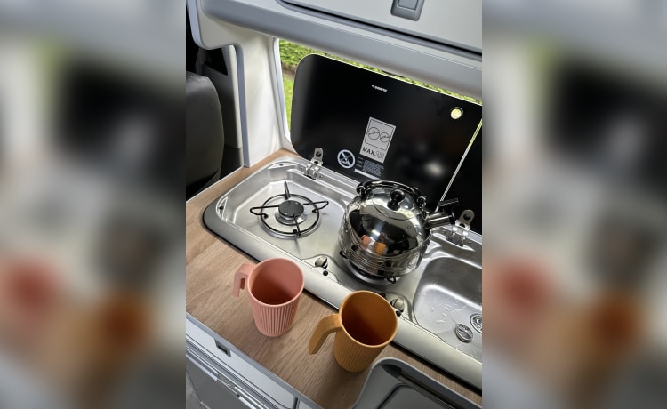 Pixie – 4 berth Volkswagen campervan from 2016