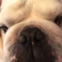Jon
