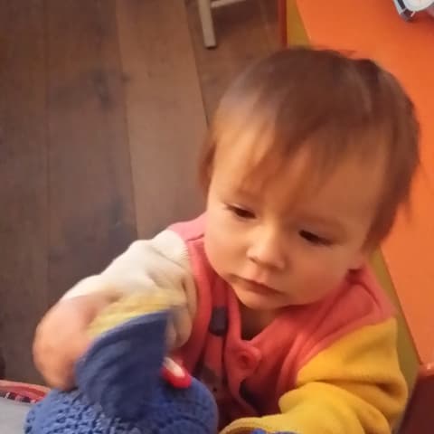 Ineke