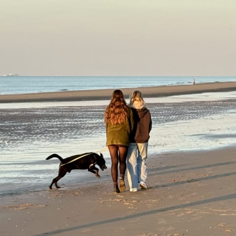 Mieke