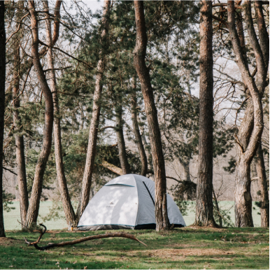 micro-adventure veluwe